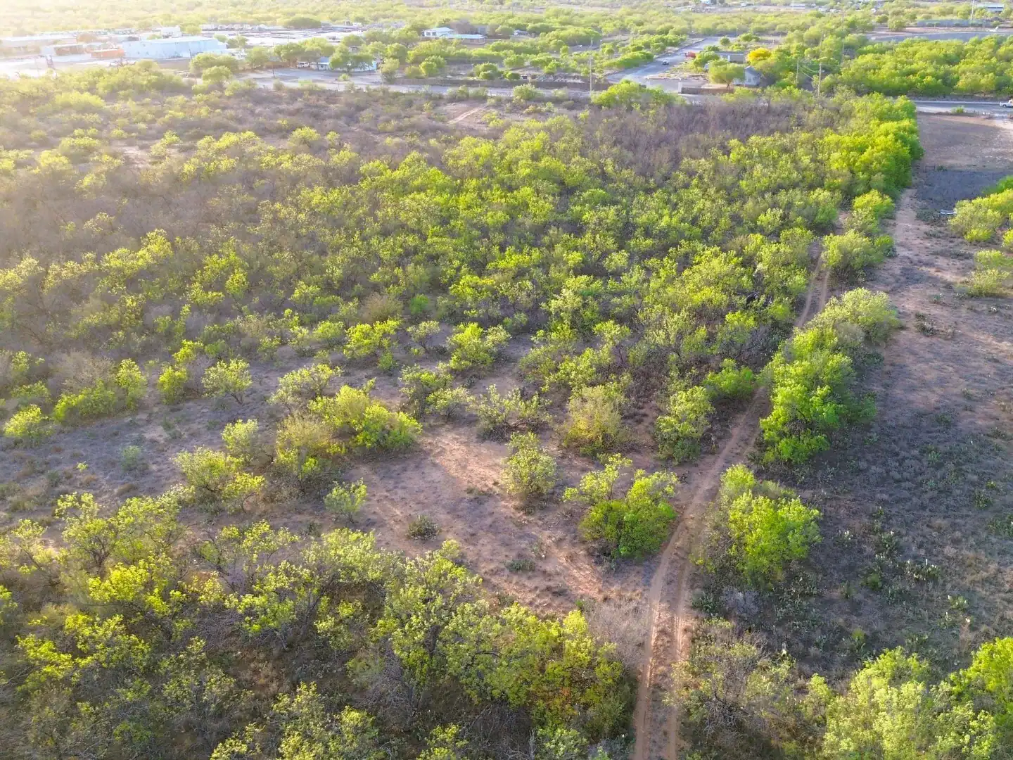 Fm 126 Carrizo Springs TX 78834