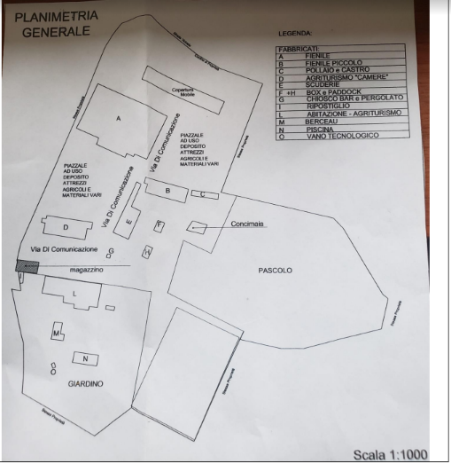 Rosignano Marittimo IT 57016