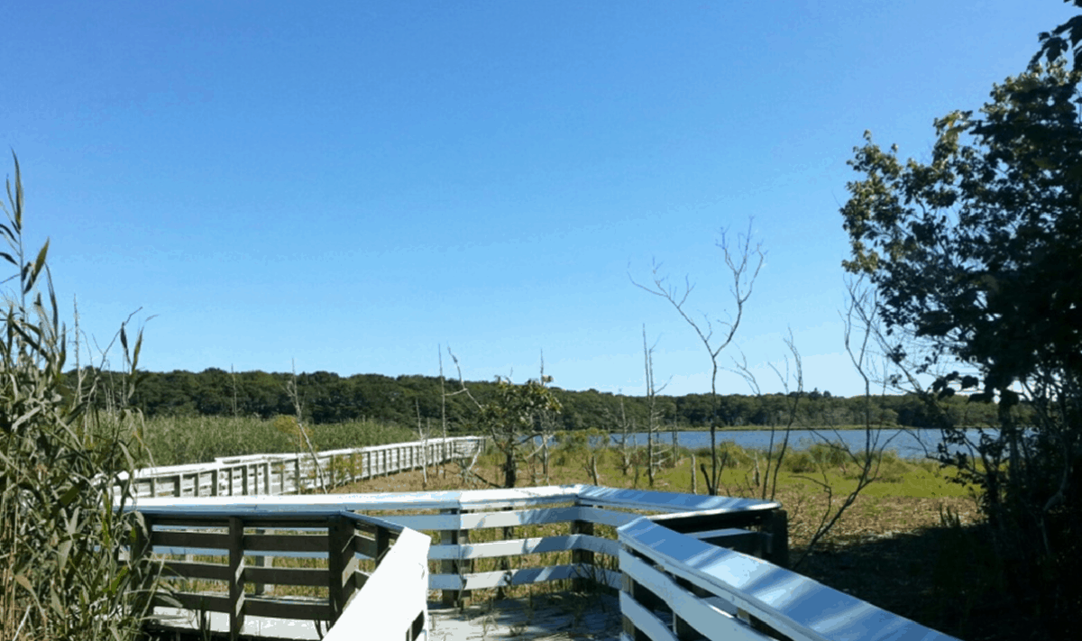 Yarmouth MA 02675