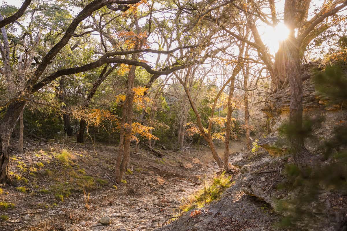 242 Model T Road Blanco TX 78606