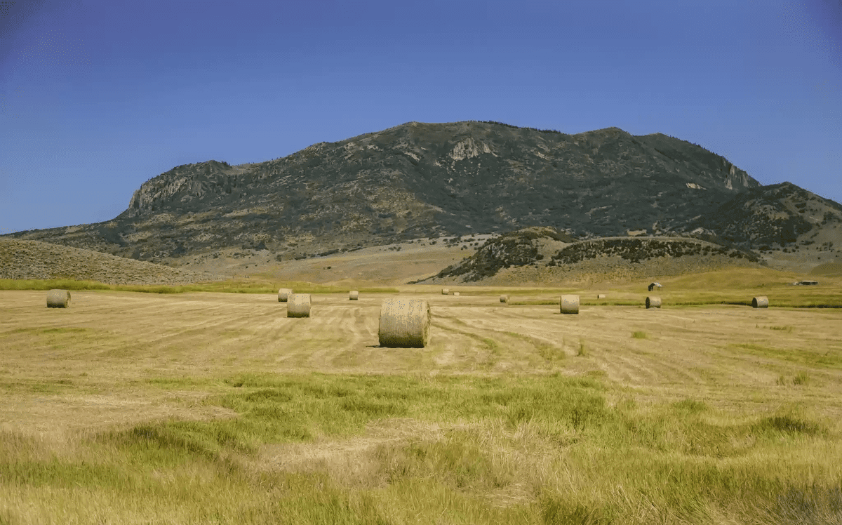 41705 Country Road 44 Steamboat Springs CO 80477