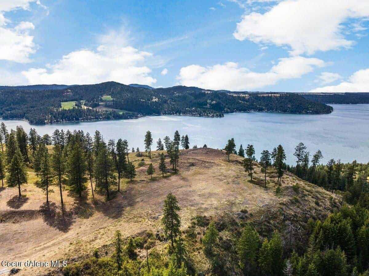 Harrison ID 83833