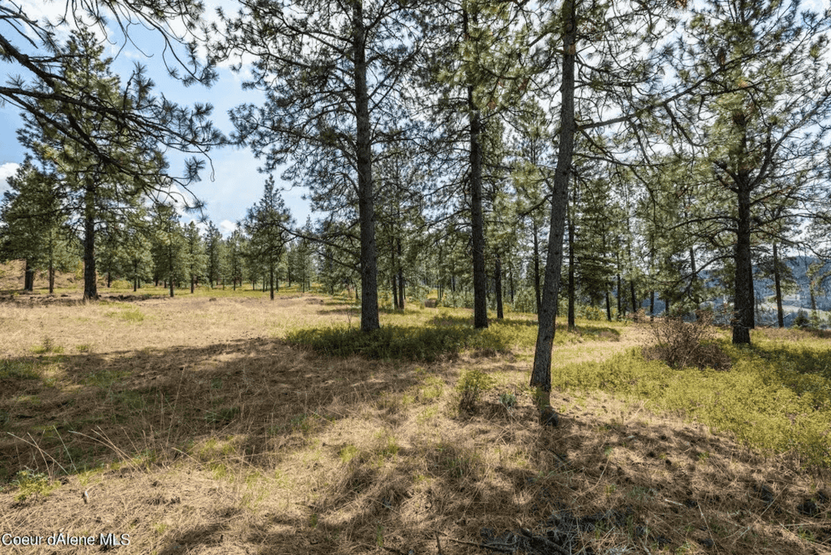 Harrison ID 83833