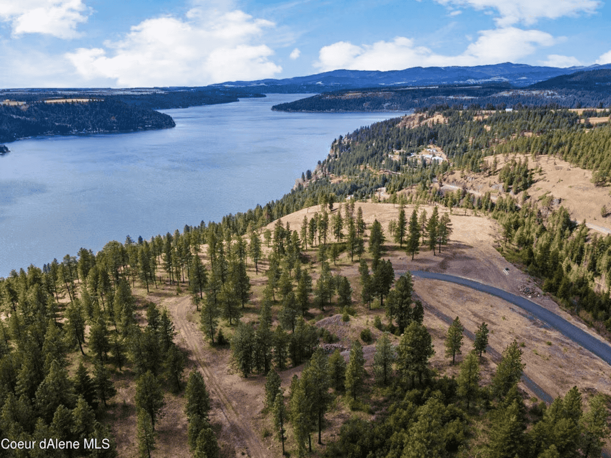 Harrison ID 83833