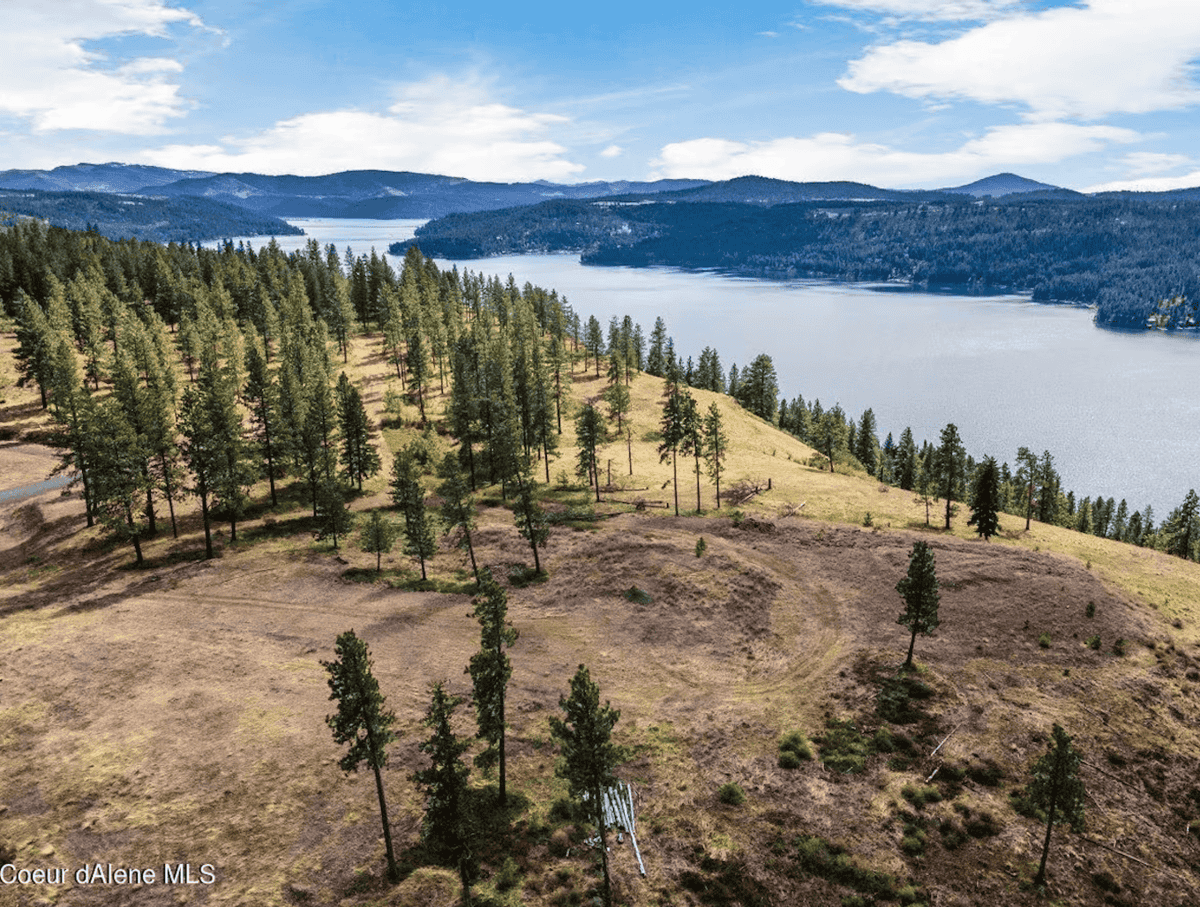 Harrison ID 83833