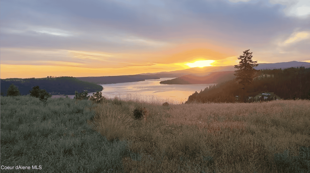 Harrison ID 83833