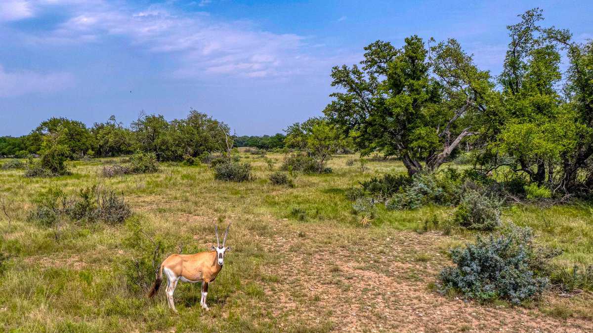 4130 Co Road 3326 Eden TX 76837