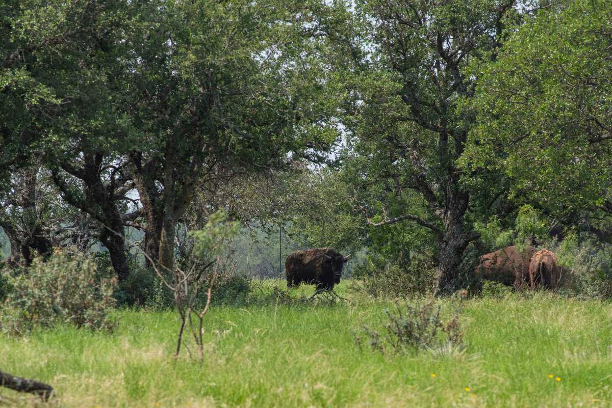 4130 Co Road 3326 Eden TX 76837