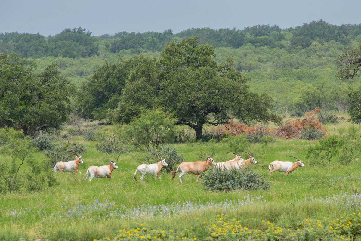 4130 Co Road 3326 Eden TX 76837