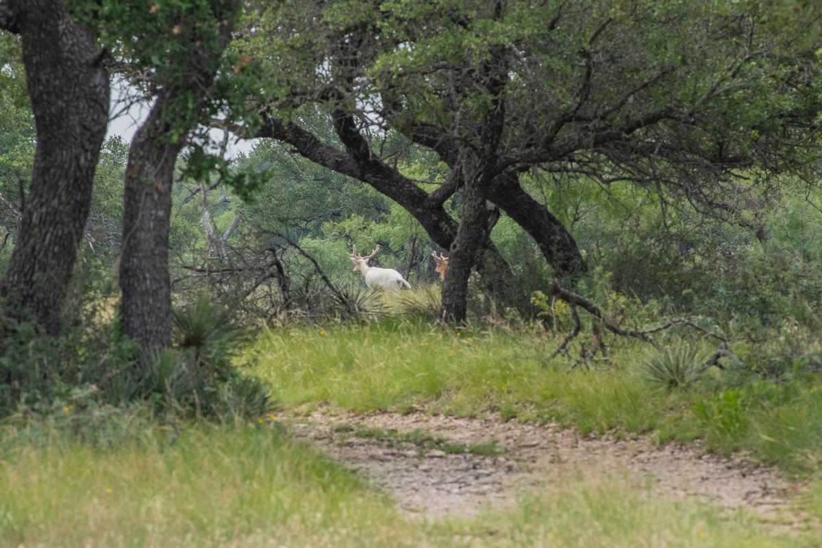4130 Co Road 3326 Eden TX 76837