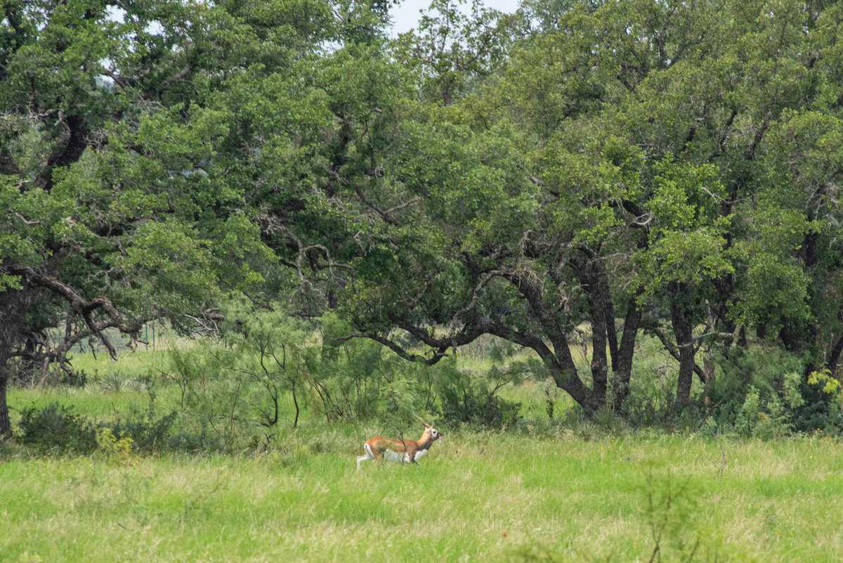 4130 Co Road 3326 Eden TX 76837