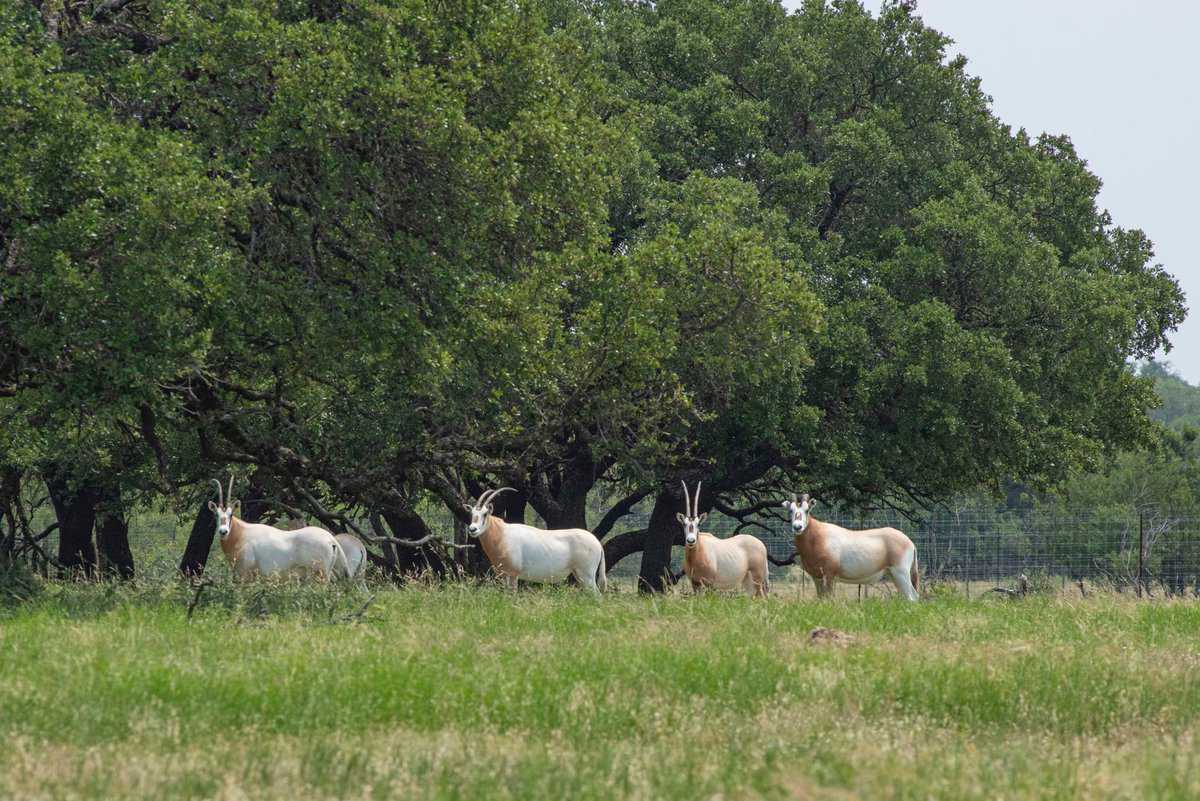 4130 Co Road 3326 Eden TX 76837