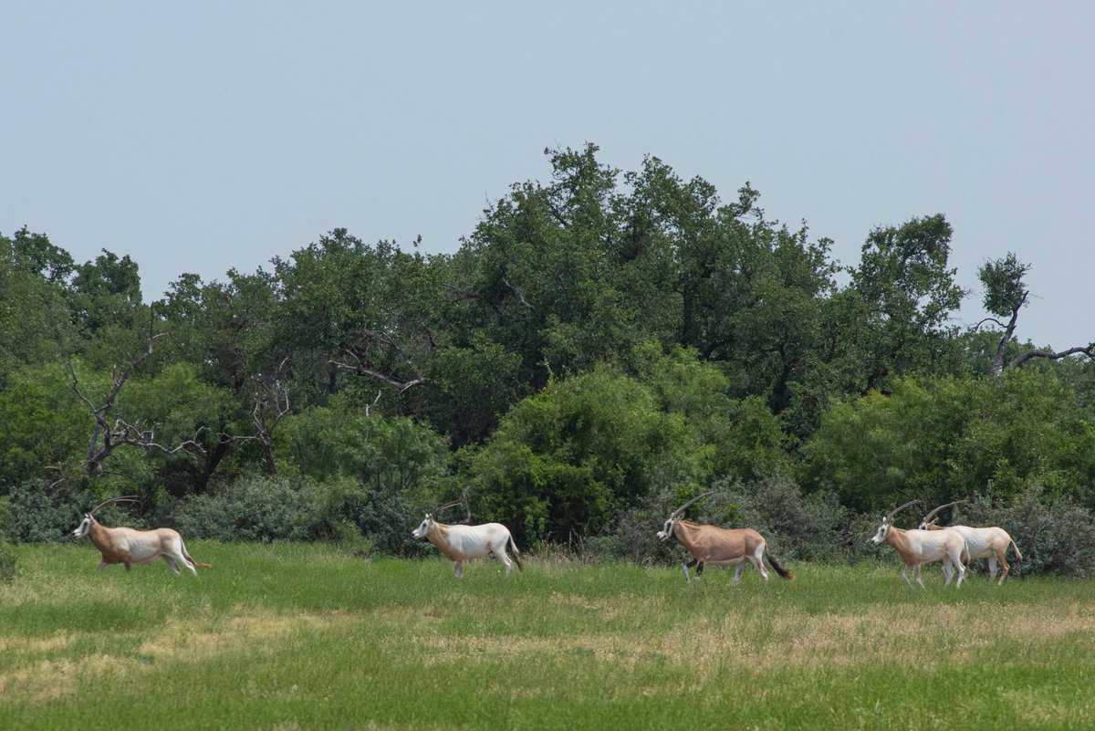 4130 Co Road 3326 Eden TX 76837