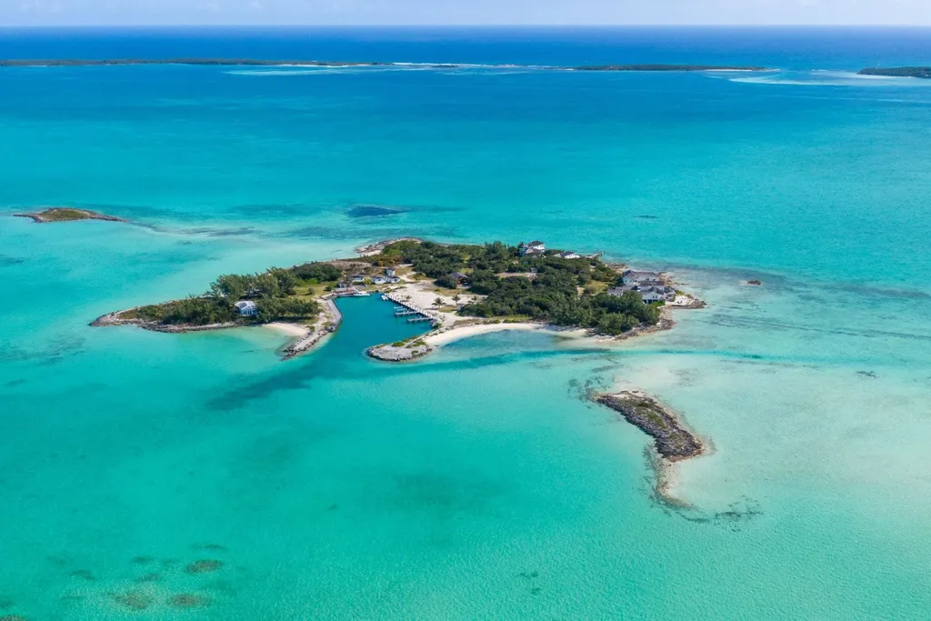 Crown Pigeon Island & Cays Eleuthera BS