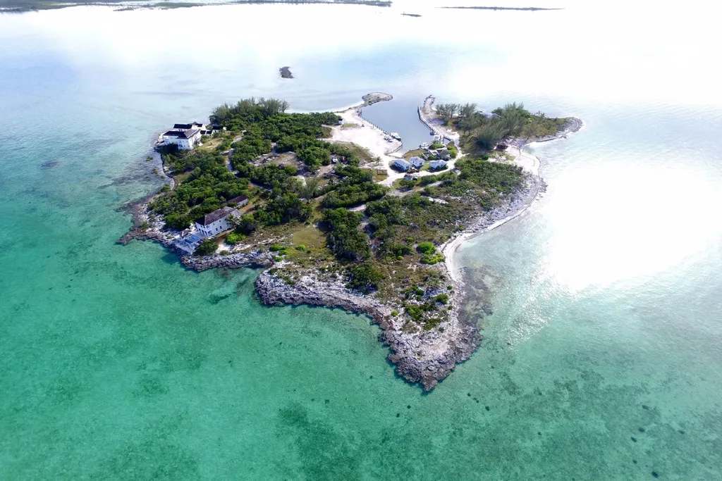 Crown Pigeon Island & Cays Eleuthera BS