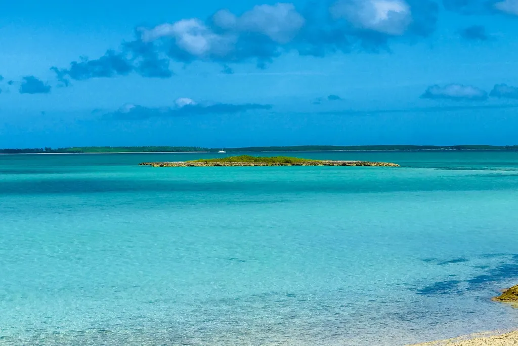 Crown Pigeon Island & Cays Eleuthera BS