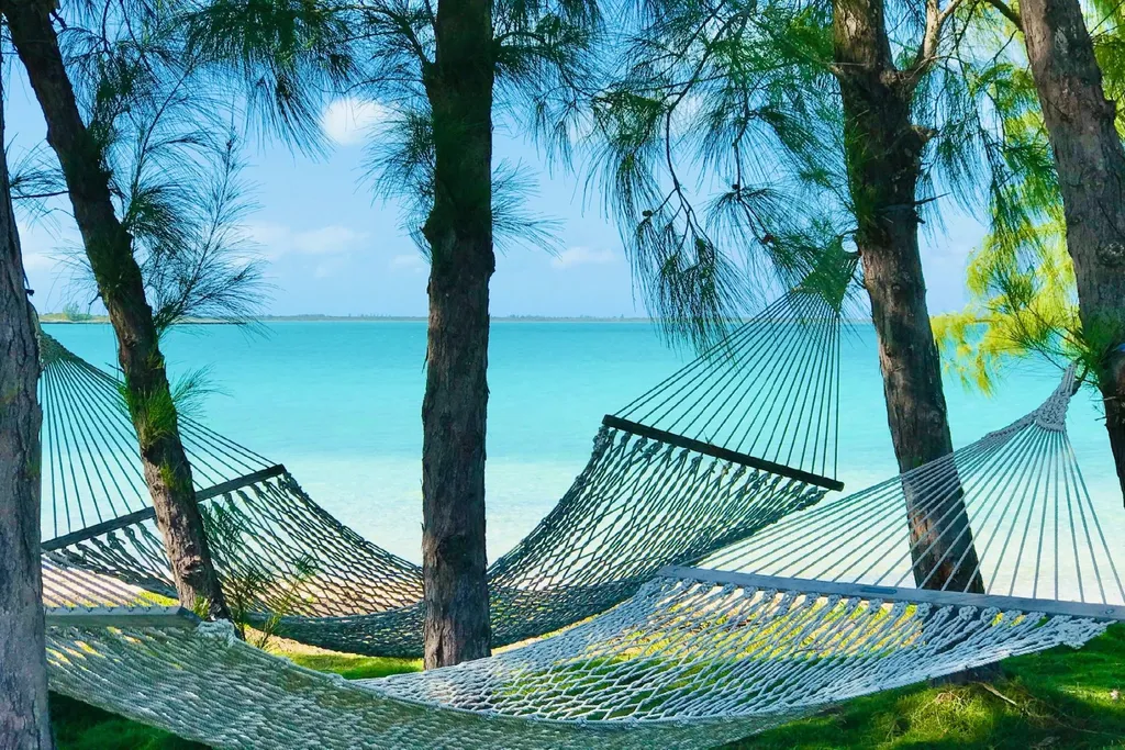 Crown Pigeon Island & Cays Eleuthera BS