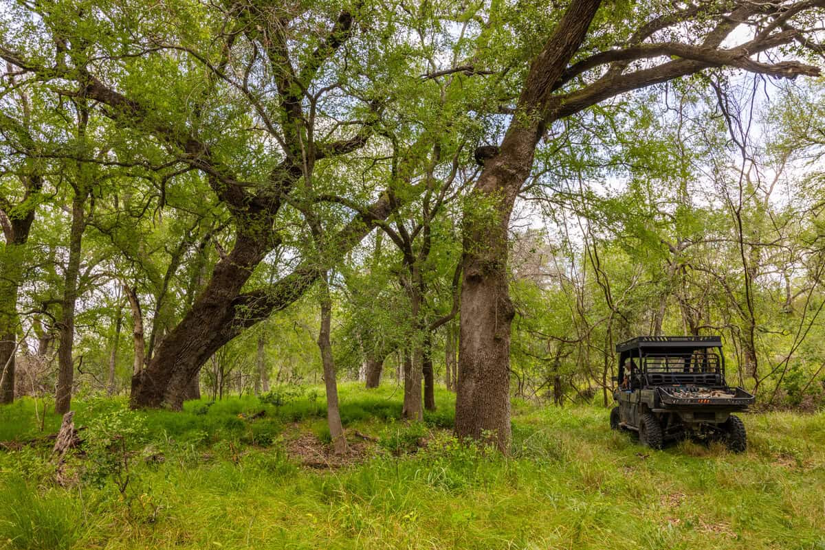Tbd 1581 Dilley TX 78017