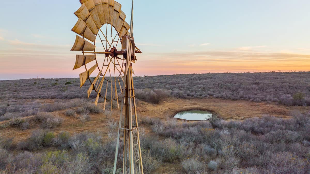 Devine TX