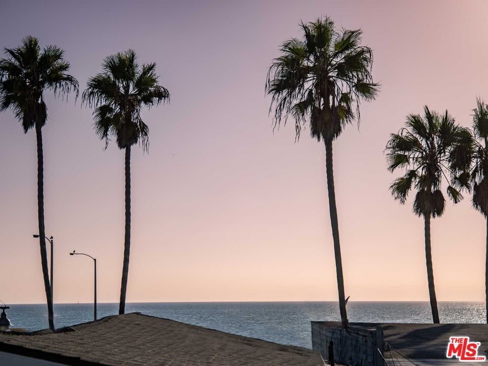 Abbot Kinney Venice CA 90291