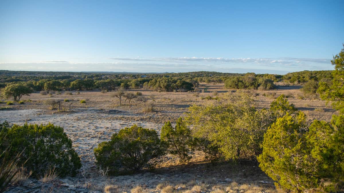 Spring Branch TX