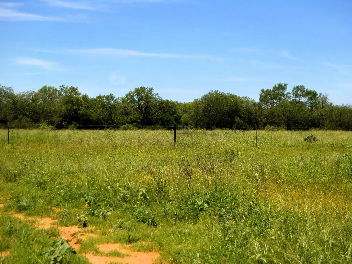 6061 Sand Hollow Road Pearsall TX 78061