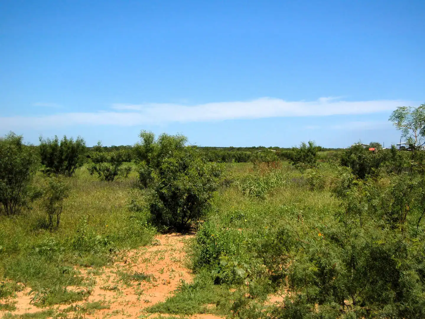 6061 Sand Hollow Road Pearsall TX 78061