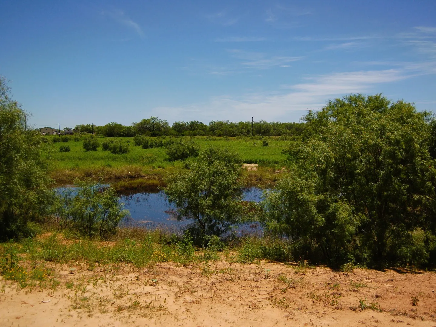 6061 Sand Hollow Road Pearsall TX 78061