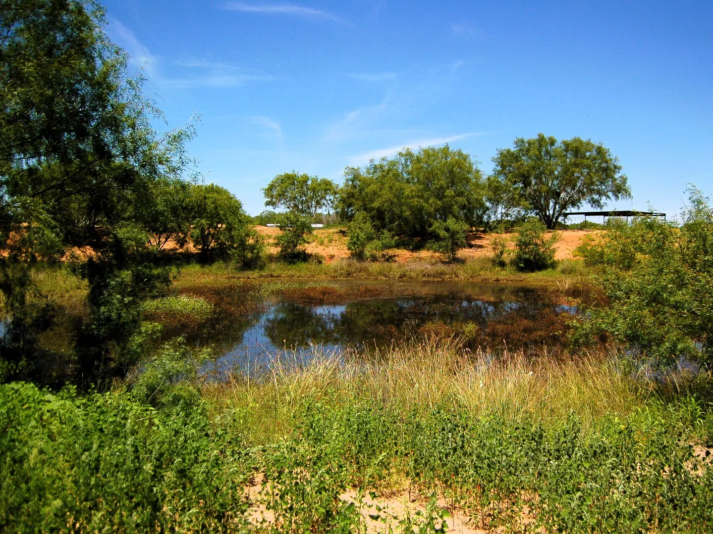 6061 Sand Hollow Road Pearsall TX 78061