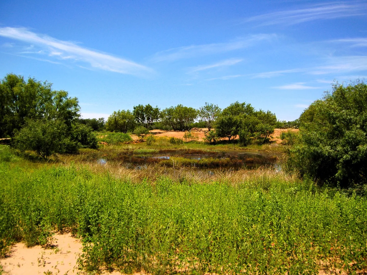 6061 Sand Hollow Road Pearsall TX 78061