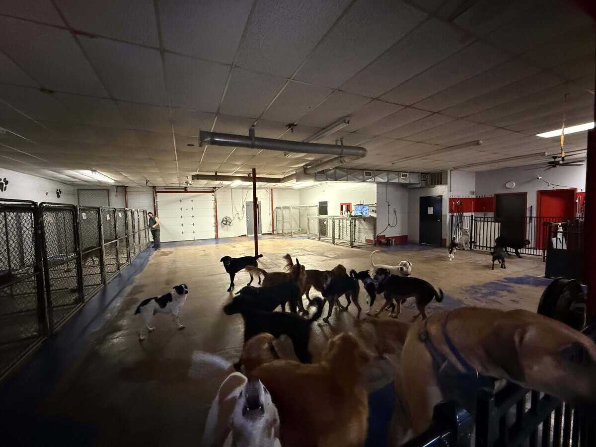 323 North Matthewson Wichita KS 67214