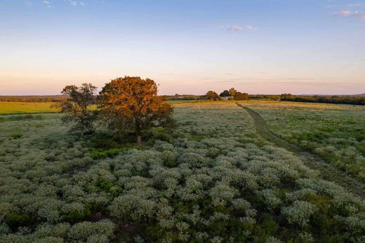 6562 Cross Road Seguin TX 78155