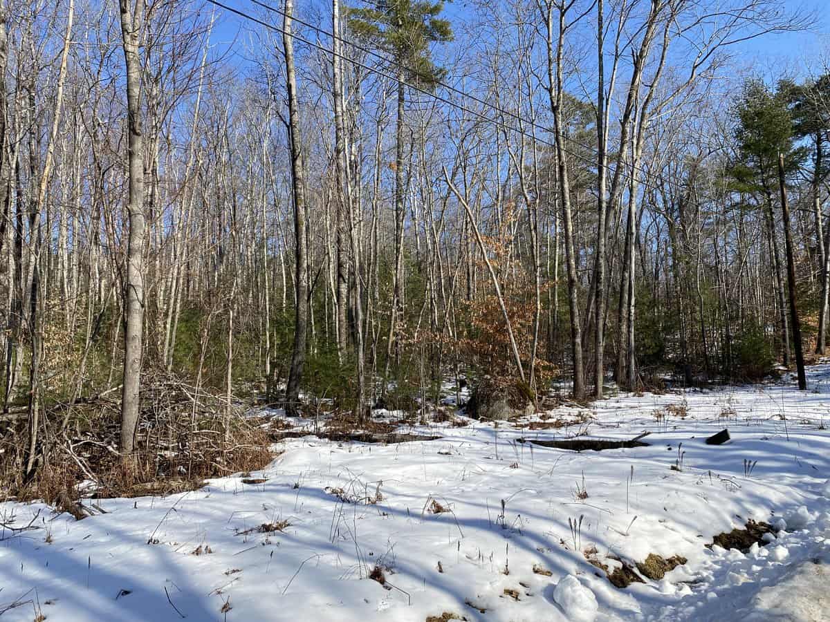 Elkins Point Road Moultonborough NH 03254