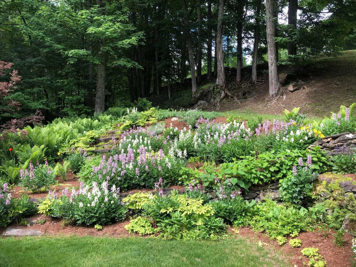 37 Maxham Road Pomfret VT 05067