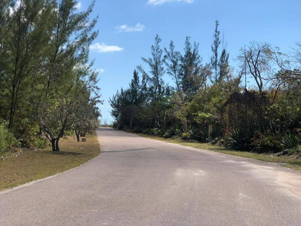 Bacardi Road New Providence Paradise Island BS