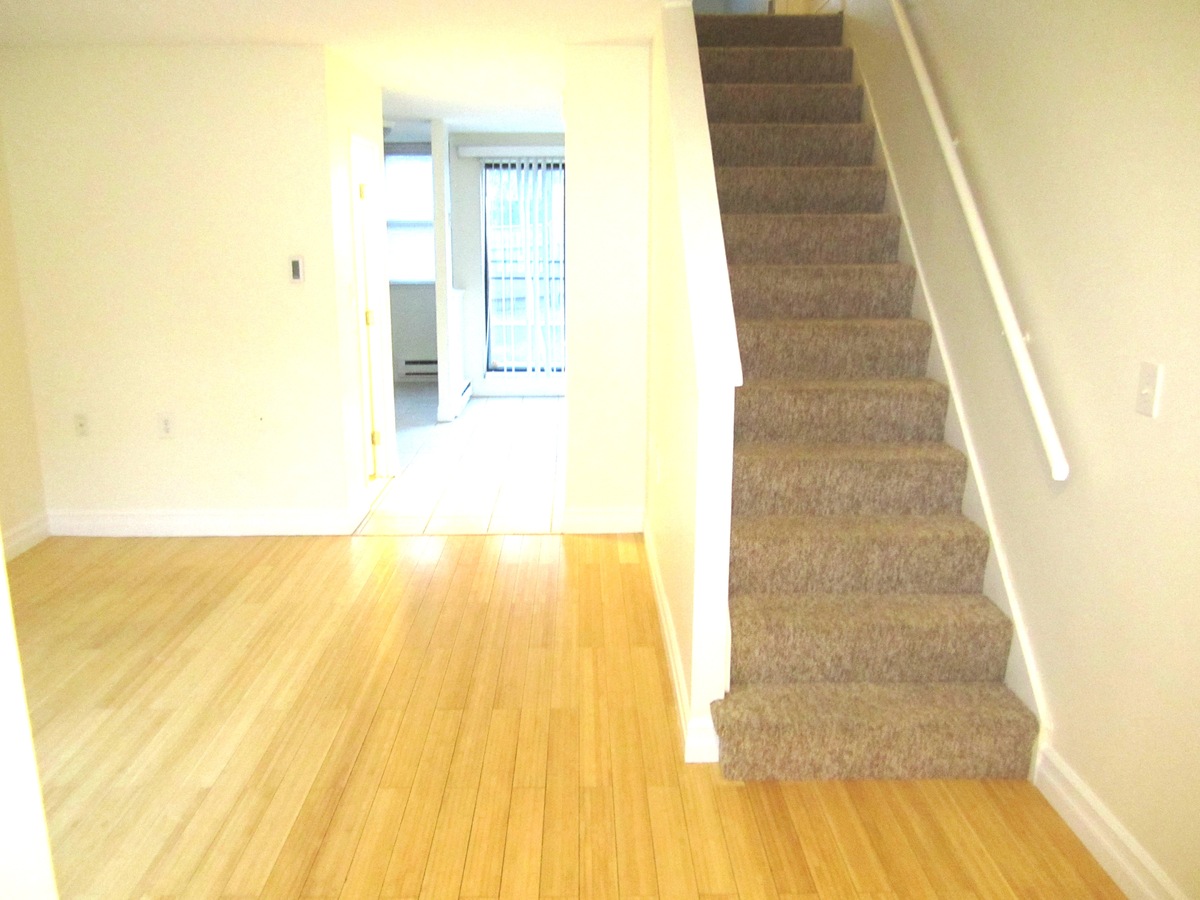 Brookline MA 02446