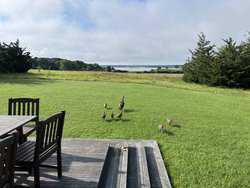 Oak Bluffs MA 02557