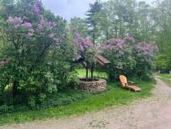 428 N Road Salisbury NH 03235