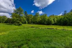 428 N Road Salisbury NH 03235