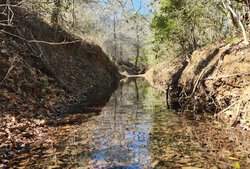 Creek 230 Harwood TX 78632