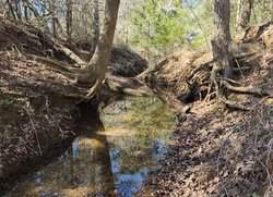 Creek 230 Harwood TX 78632