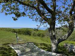 Chilmark MA 02535