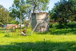 117 Creek 326 Kenedy TX 78119