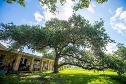 117 Creek 326 Kenedy TX 78119