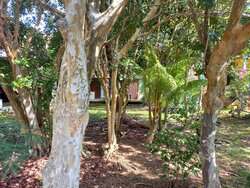 Eleuthera BS