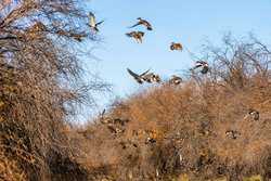 Lausen Road Del Rio TX 78840