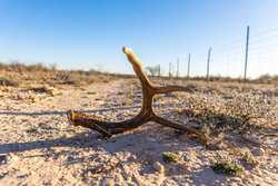 Lausen Road Del Rio TX 78840