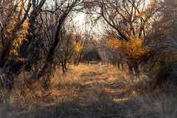Lausen Road Del Rio TX 78840