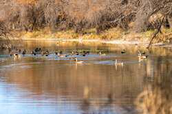 Lausen Road Del Rio TX 78840