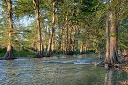 Tbd Sisterdale Road Boerne TX 78006